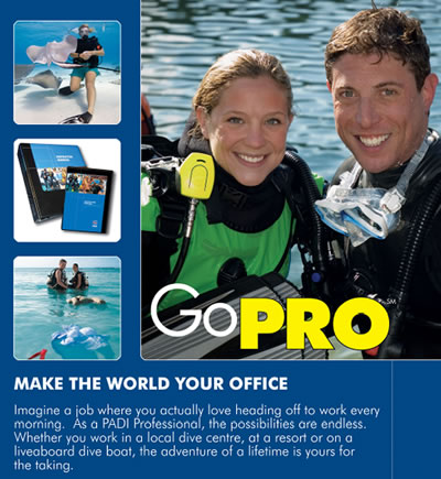 Padi Pro